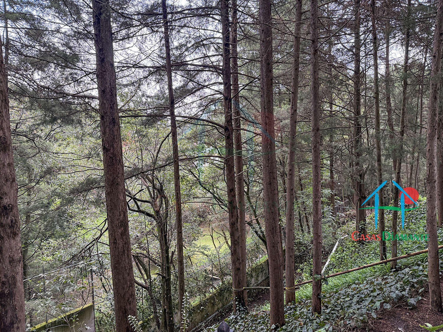 Rancho San Francisco Casa Encino - Jardín 22